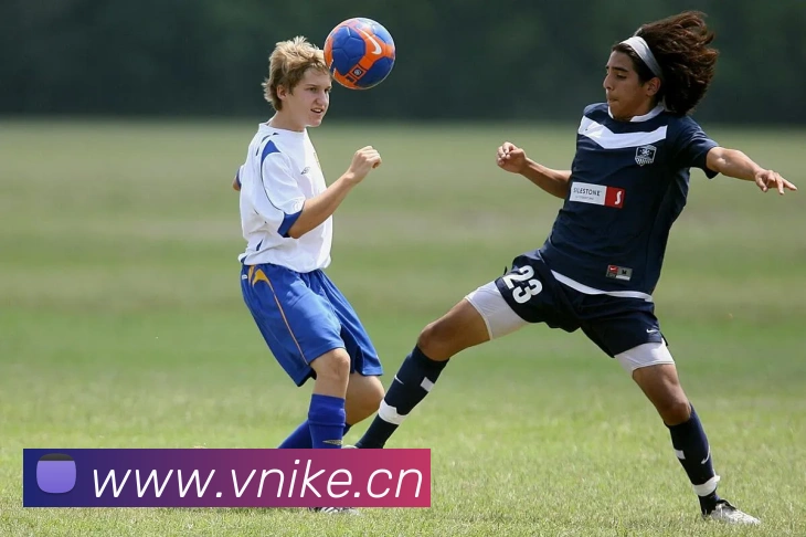 App Interface Preview